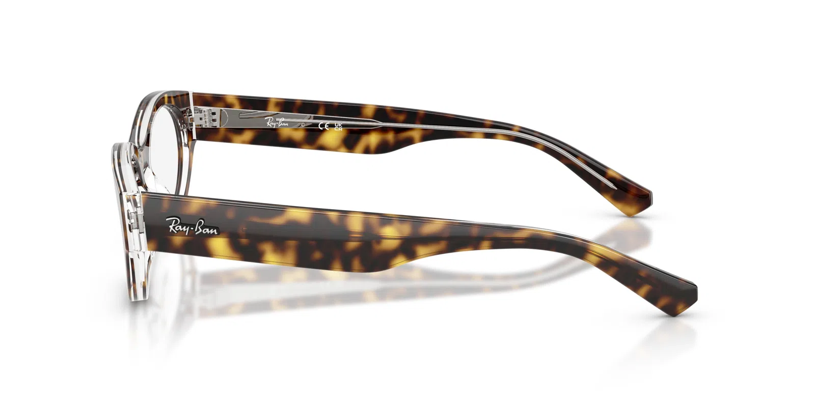 Ray-Ban 5447 Eyeglasses - view 45